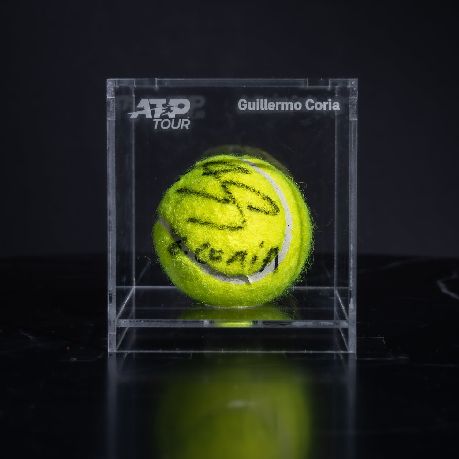 Pelota Firmada - Guillermo Coria